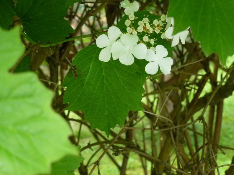 Сочи-Адлер: Южное Взморье - Мои любимые куколки на отдыхе