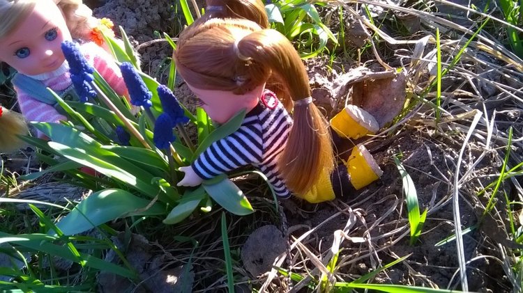 Галинка с Полинкой во саду ли в огороде