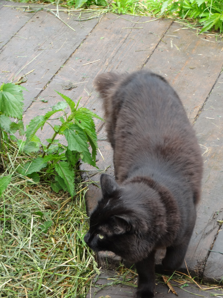 Парк Сказов — Туризм и путешествия: фотоотчеты из поездок