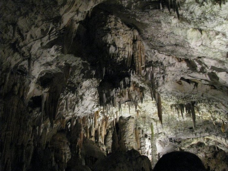 Незабываемая экскурсия по Словении: Постойная Яма и Предъямский замок (фото 2)