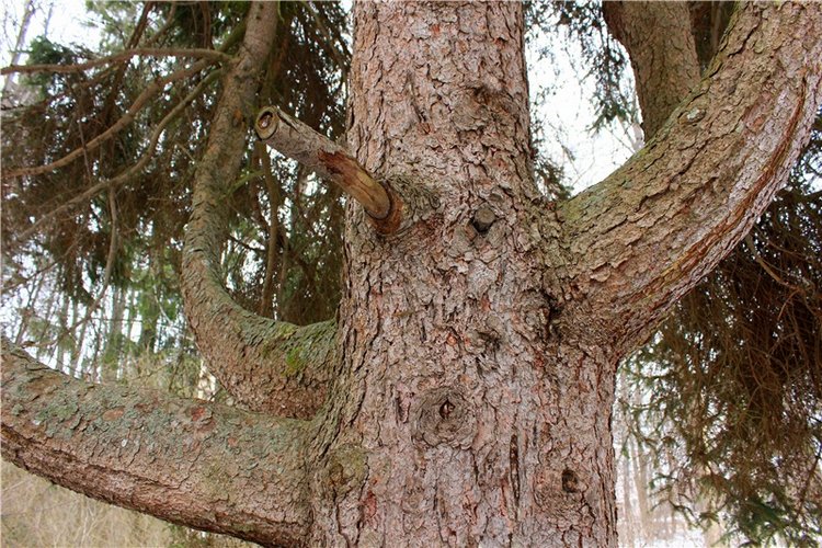 Путешествие в первый день Весны