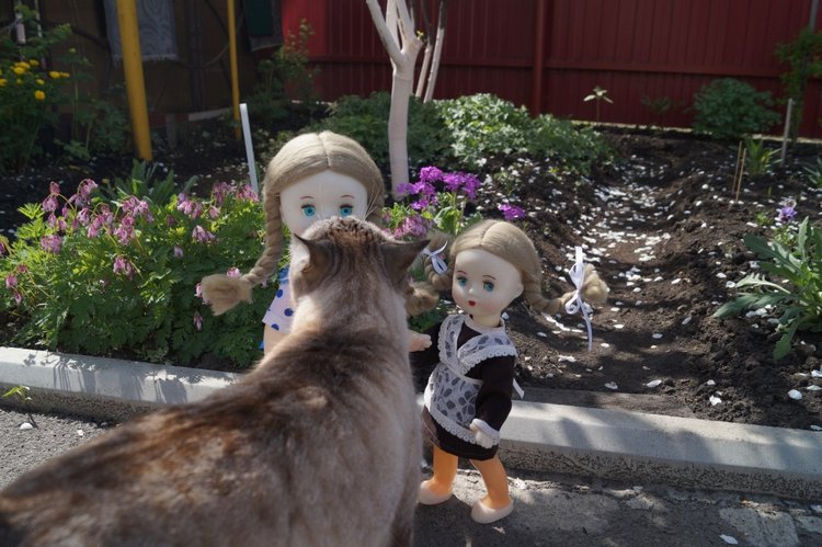 Вы любите топики про лечение кукол? Тогда вам сюда