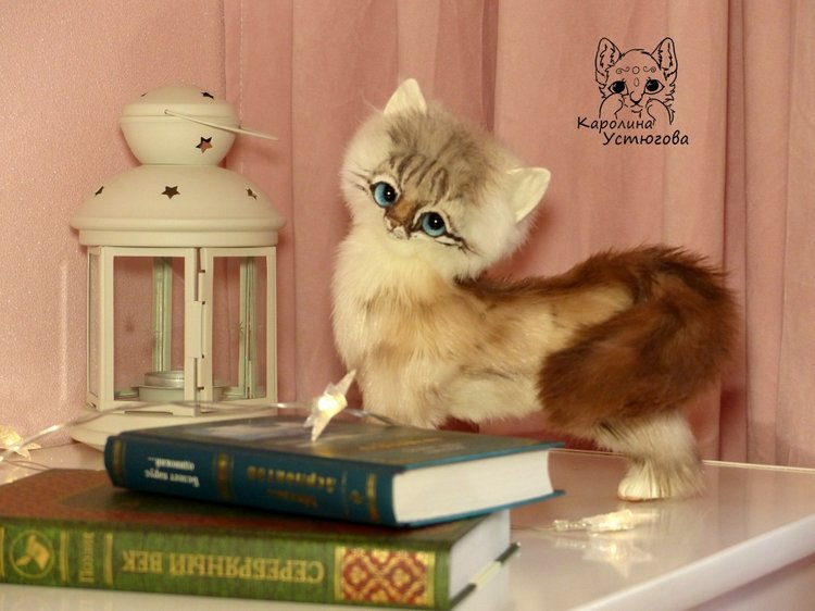 Котенок породы : Невский Маскарадный, окрас сил тэбби пойнт (фото 3)