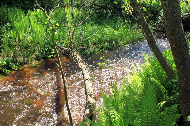 Затерянный Мир — Красивая природа и цветы: фото пейзажей