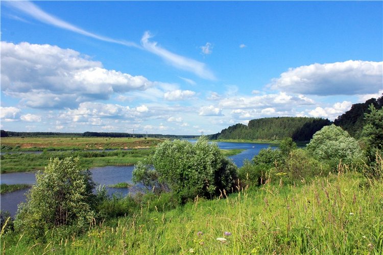 Путешествие Эли на красивый берег реки Волги
