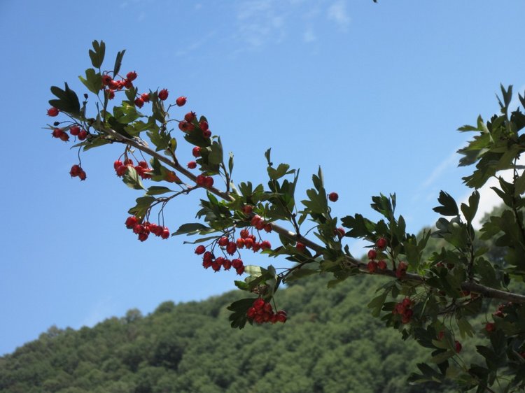 Горячее солнышко Кисловодска