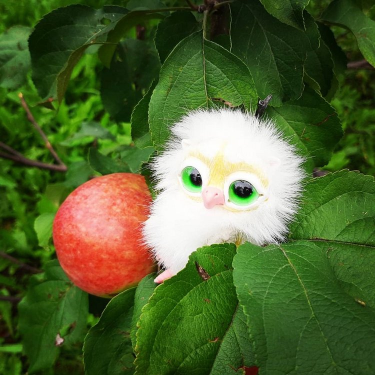 Последние денечки лета.... Совенок Желточек, дача и другие дачные жители (фото 3)