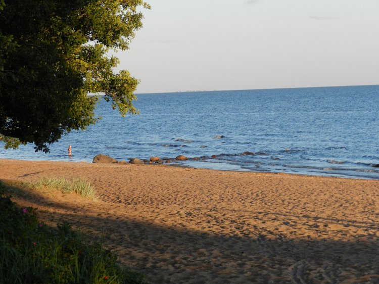 Немного позитива с Финского залива