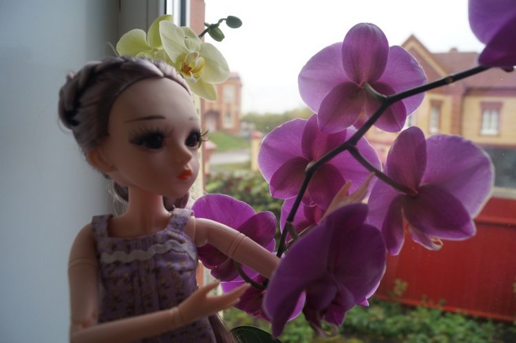 Я подарила сестрёнке куклу, она назвала её Агата (фото 8)