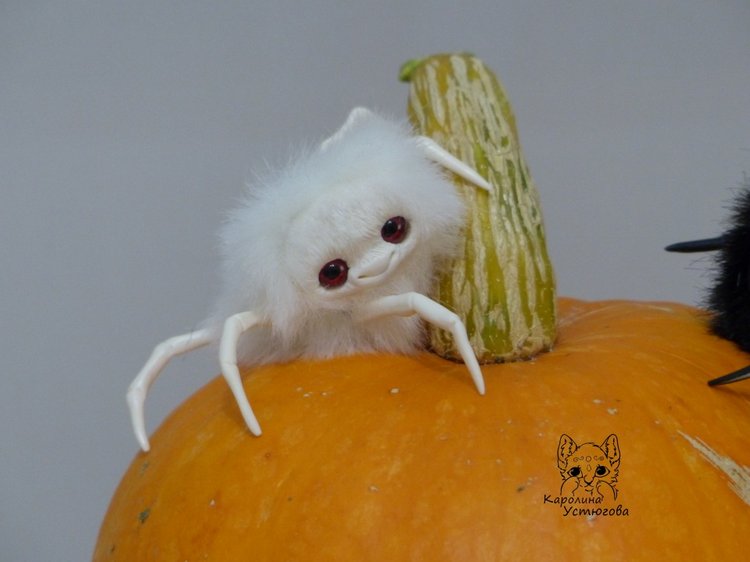 Halloween и маленькие паучки (фото 2)