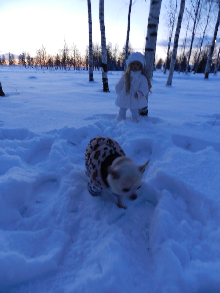 Кристинкина прогулка — Куклы Sissel Skille (Сиссель Скилле): Gotz