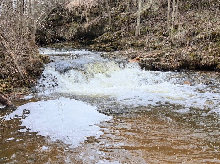 Путешествие Имани в ПанИку