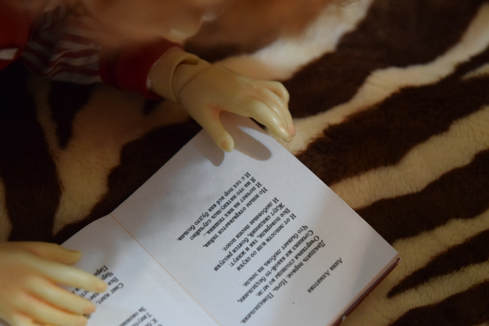 Первая сборка румбокса — Румбоксы и кукольные интерьеры: фото