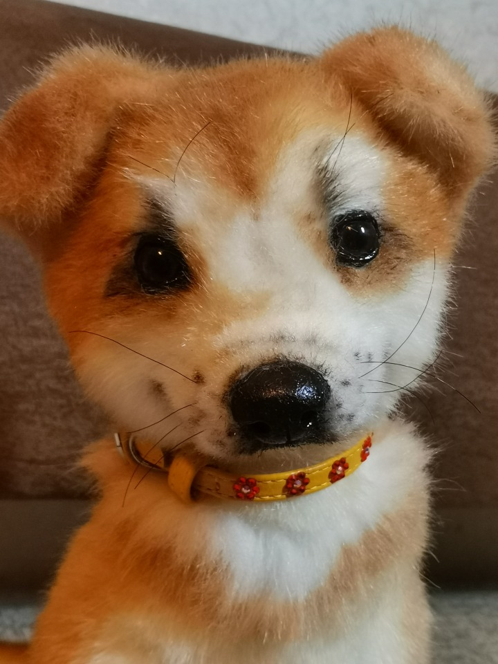 Акито щенок — Игрушки в смешанной технике (мех и глина): Арт