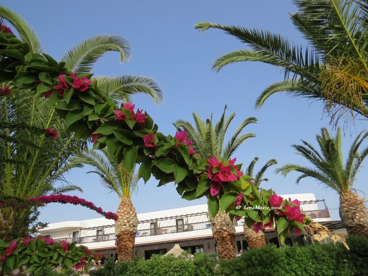 Kidz' тур. Нико на Крите. Херсониссос (фото 7)