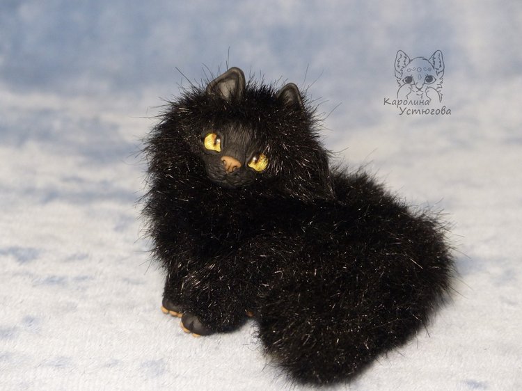 Кот породы Мейн-ку́н, черный. Я к удаче
