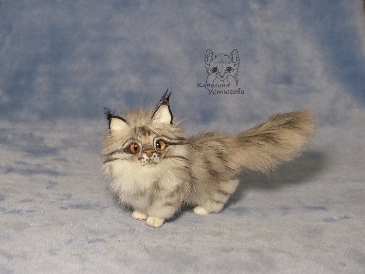 Мейн-ку́н, миниатюра. Серебристый окрас