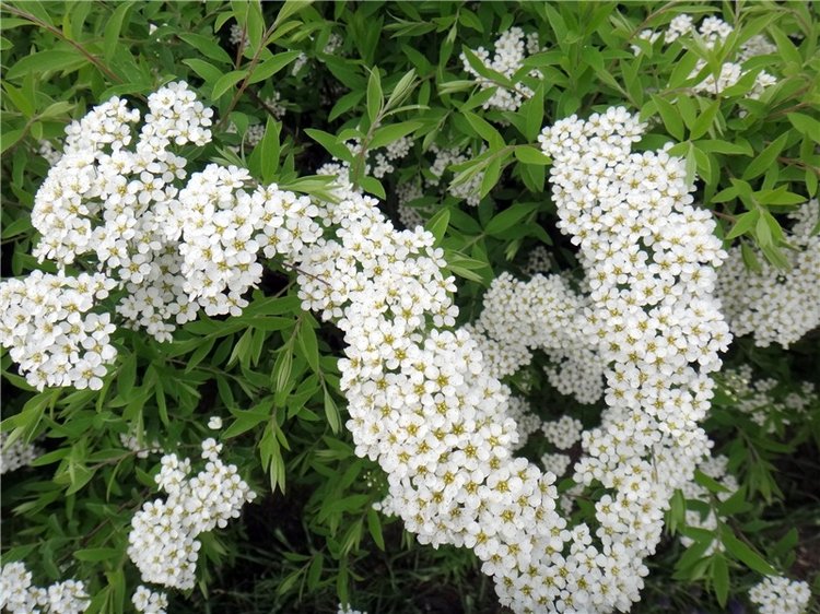 Милый мой город. Прогулка по Твери, заключительная часть