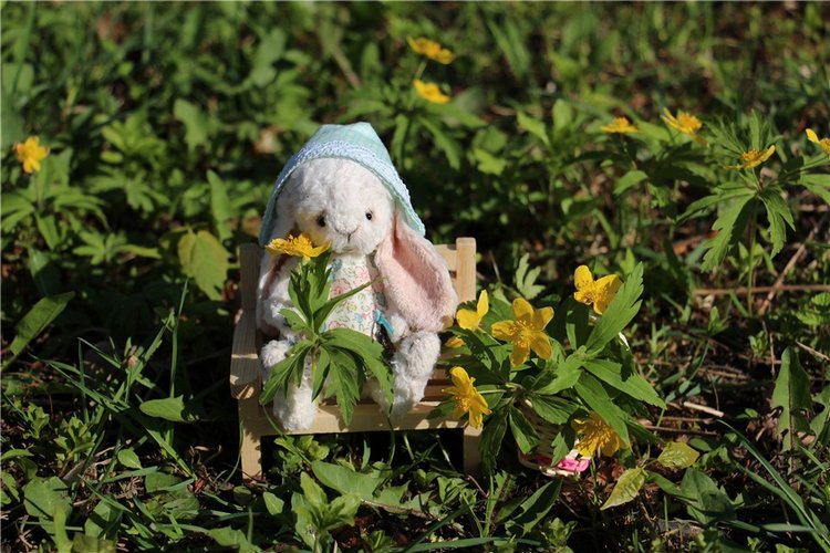 Один раз в год сады цветут