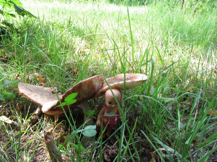 Малышня на прогулке в Бирюлёвском дендропарке