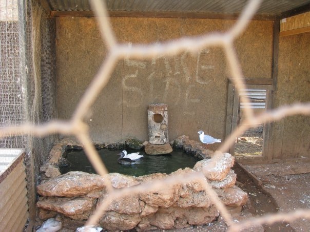 Путешествие на о. Кипр — Туризм и путешествия: фотоотчеты из поездок