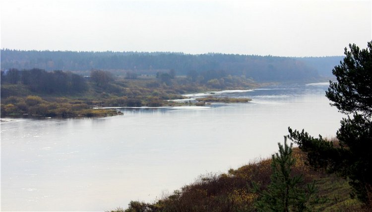 Гришутка — Винтажные куклы ГДР (Немки): Бигги