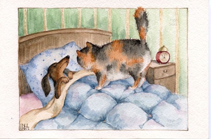 Предновогодние денёчки! Улыбнёмся вместе! Смешные таксы Инги smG