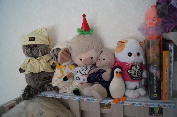 У Агаши много новеньких! Жители надкроватных полочек