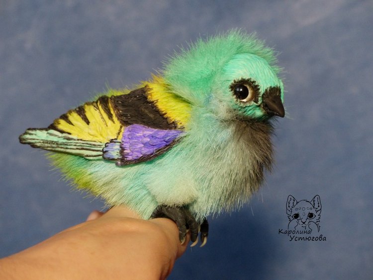 Зеленоголовая танагра, чудо птичка (фото 2)