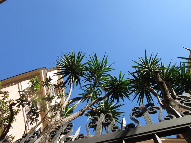 До пандемии. Путешествие по Италии, часть 7 (Рим)