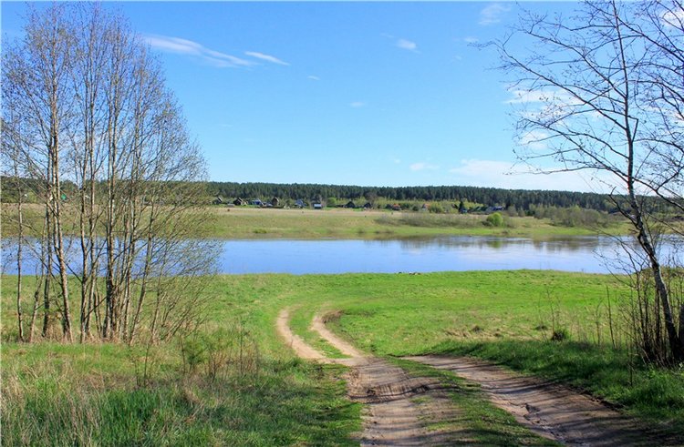 Долгая дорога к Волге. Custom Blythe Doll UFO Go Go Takara