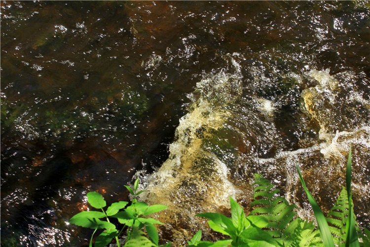 Затерянный Мир — Красивая природа и цветы: фото пейзажей