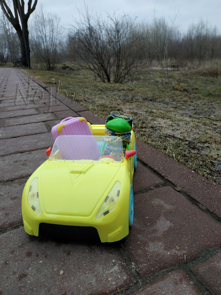 Миссис Бэйбики. Царевна - лягушка. Визитная карточка (фото 5)