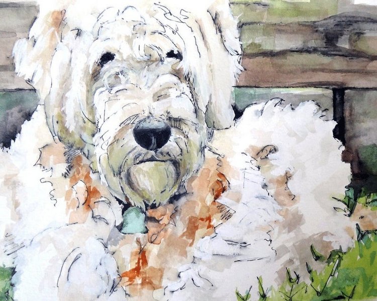 TheColorfulCatStudio - Иллюстрированная фауна by Rachel Byler