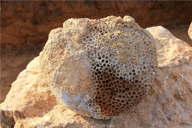 Сентябрьское путешествие в Старицу, продолжение