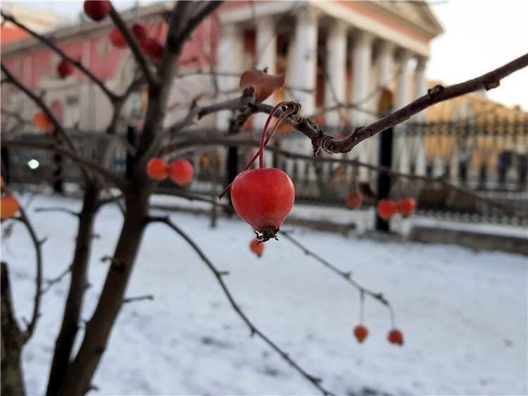 Декабрьская Тверь — Туризм и путешествия: фотоотчеты из поездок