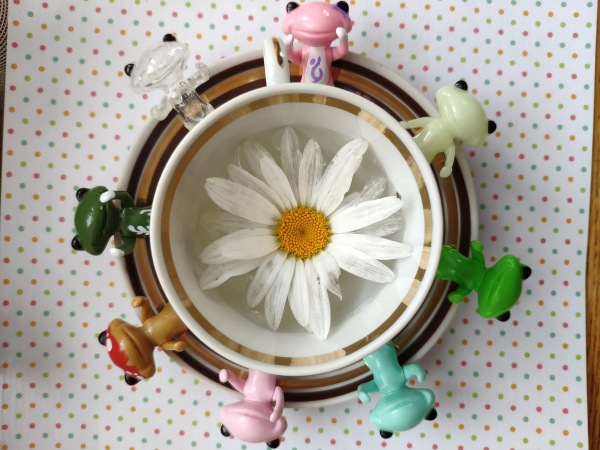 Мои крУжки и лягУшки — Фигурки Studio