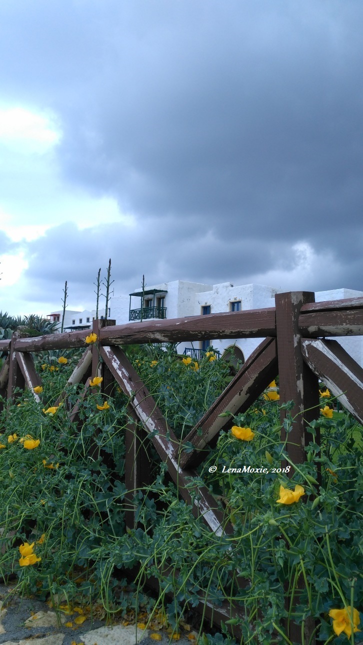 Kidz' тур. Нико на Крите. Аниссарас