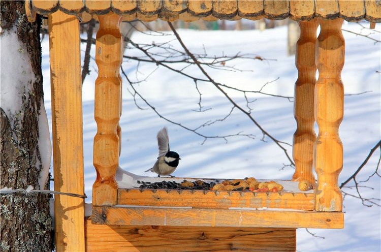 Снежный Март — Туризм и путешествия: фотоотчеты из поездок