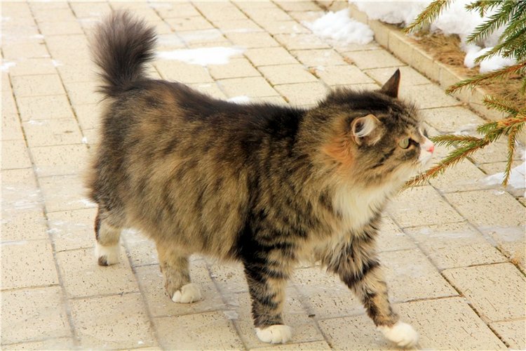 Снежный Март — Туризм и путешествия: фотоотчеты из поездок