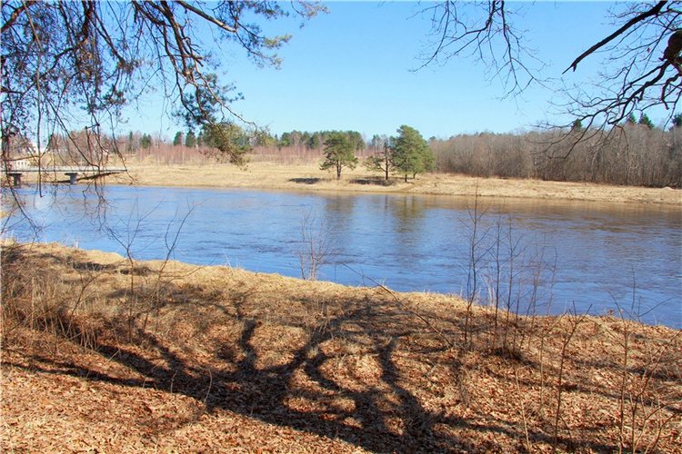 Апрельский день в Василёво, продолжение (фото 5)