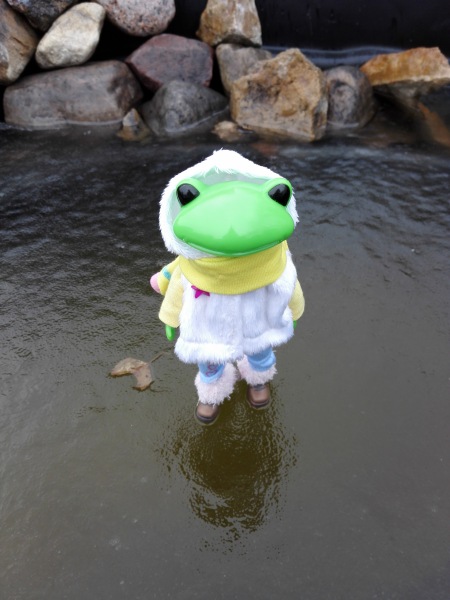 Добро пожаловать в удивительный мир Ванды (фото 8)