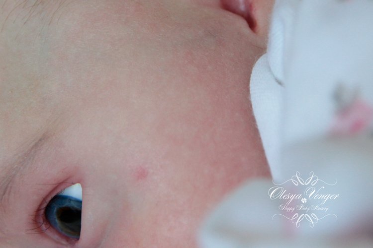 Тинк, мой любимый птенчик. Кукла реборн Венгер Олеси