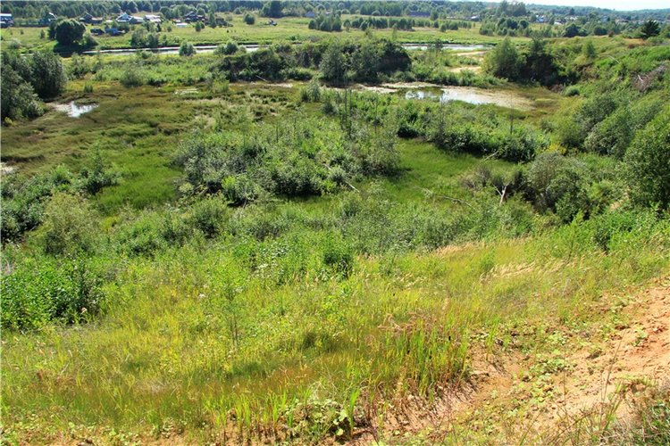 Инопланетянка Нийя. Custom Blythe Doll UFO Go Go Takara