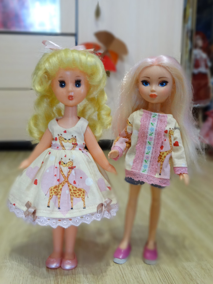 Ивановские Золушки-Василисы (фото 2)