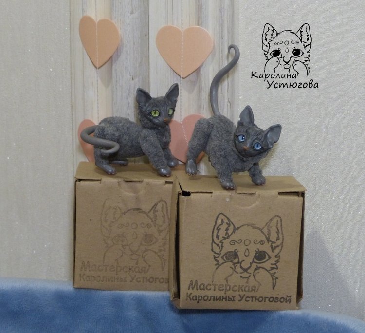 Сборы котиков в путь. Котики-призы конкурсов