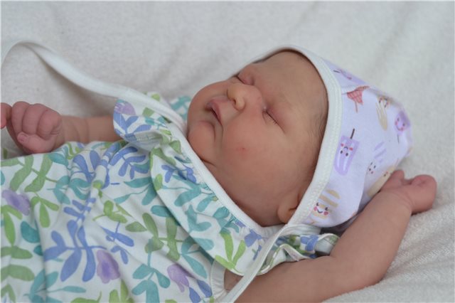 Мои новорожденные малыши. Кукла реборн | Бэйбики Мои новорожденные малыши. Кукла реборн (фото 3)