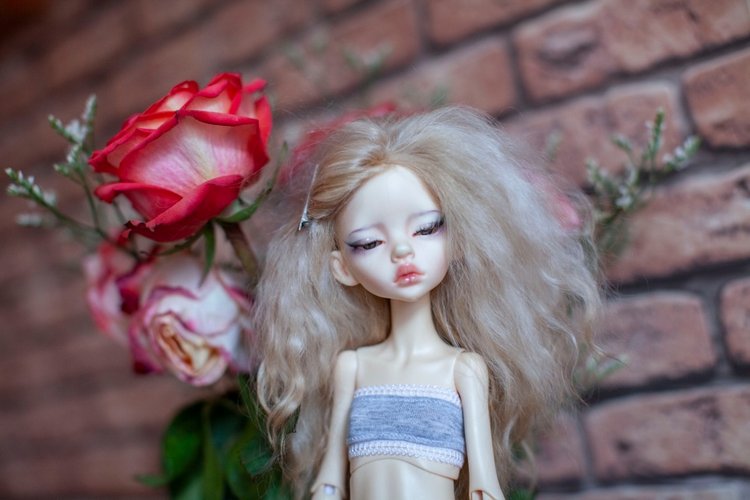 Приезд Токи, часть 2 — Куклы Fairyland (ФэйриЛэнд): BJD (БЖД)