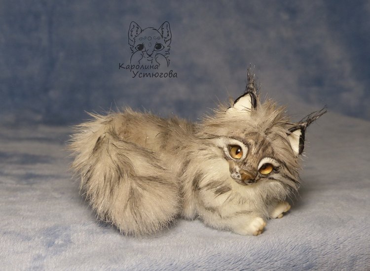 Мейн-ку́н, миниатюра. Серебристый окрас