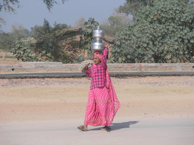 Сказочная Индия — Туризм и путешествия: фотоотчеты из поездок
